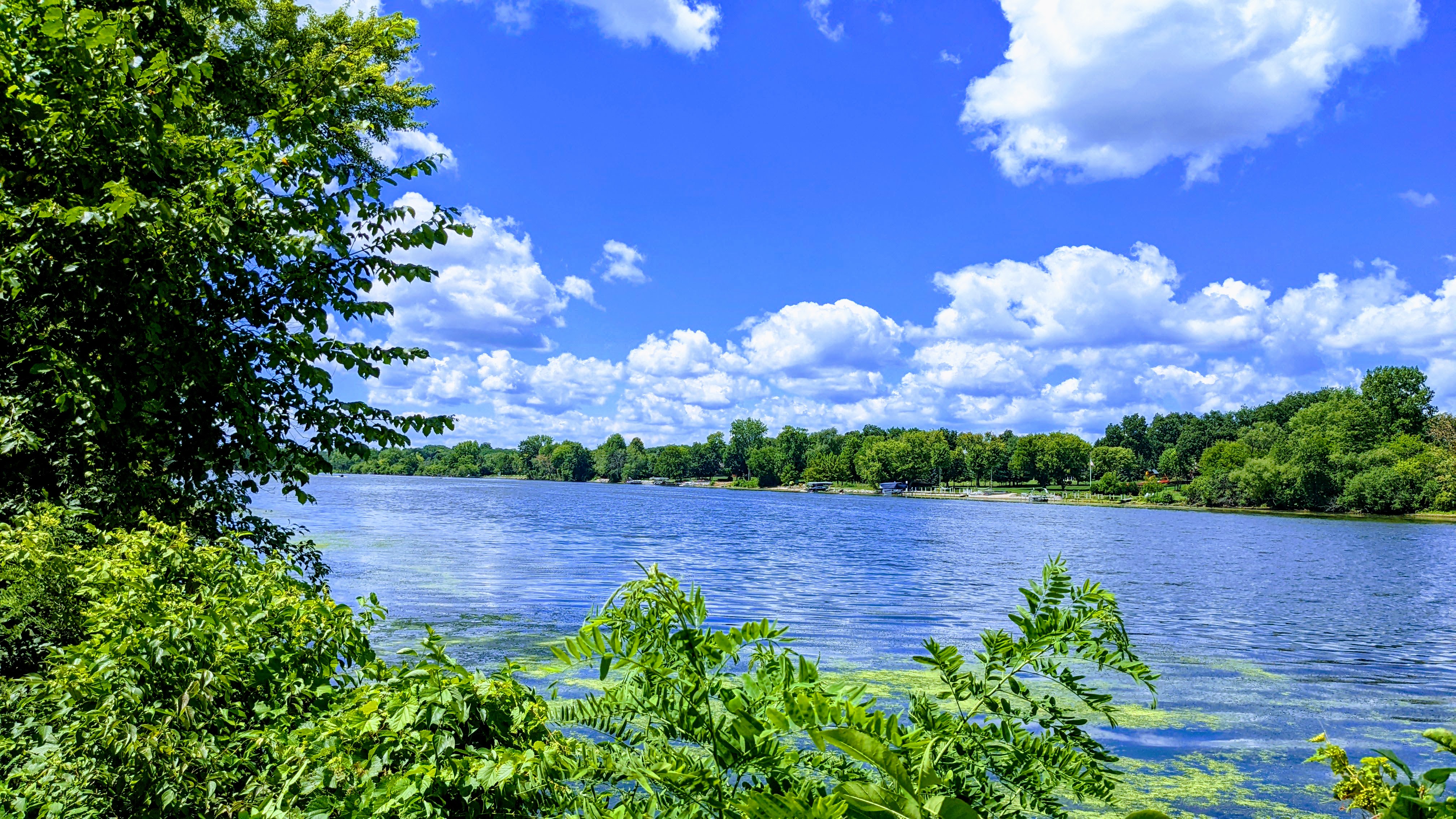Walking up to the river on a blue sky day