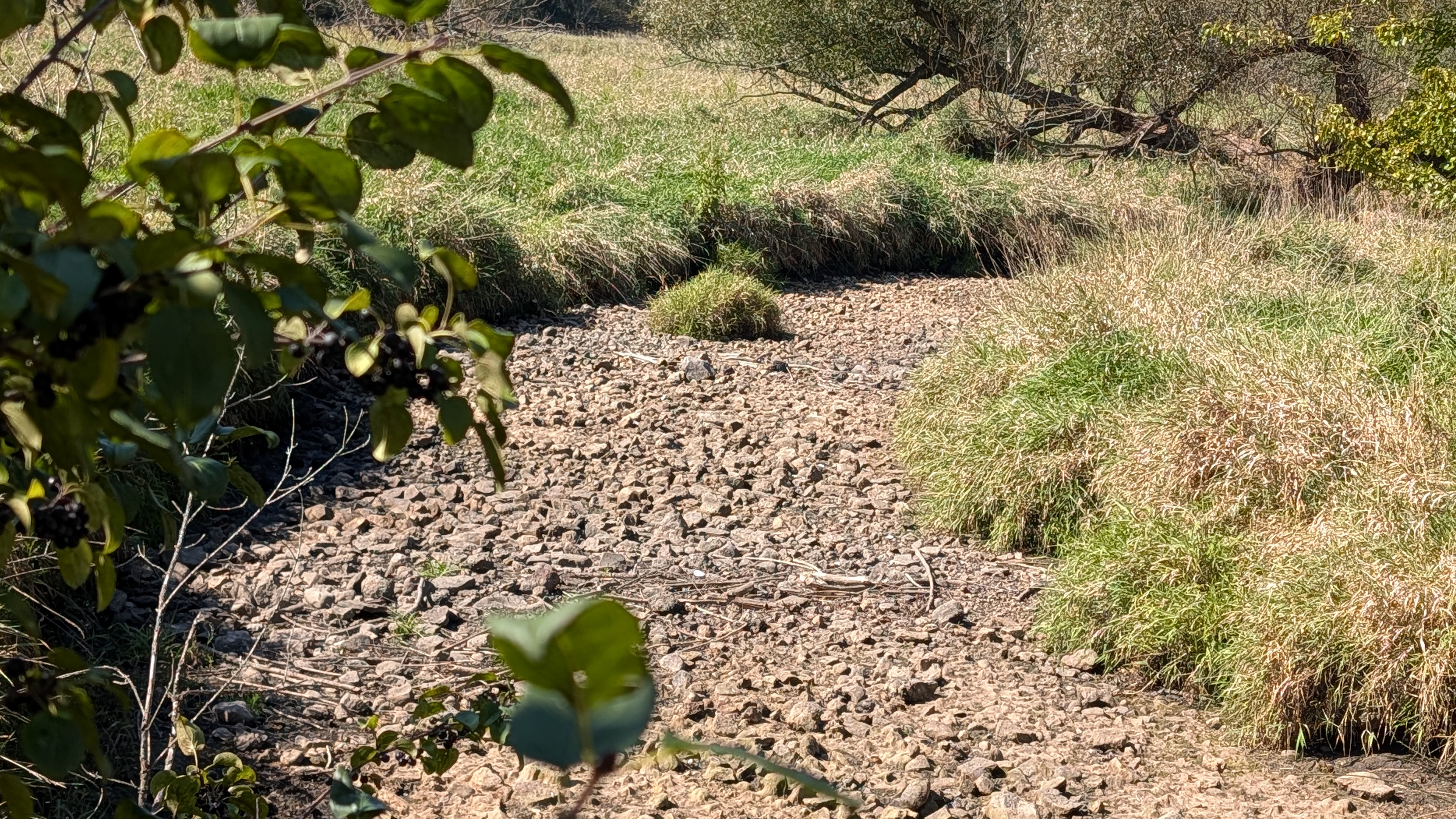 The path of rocks form a trail in the bed of a creek run dry