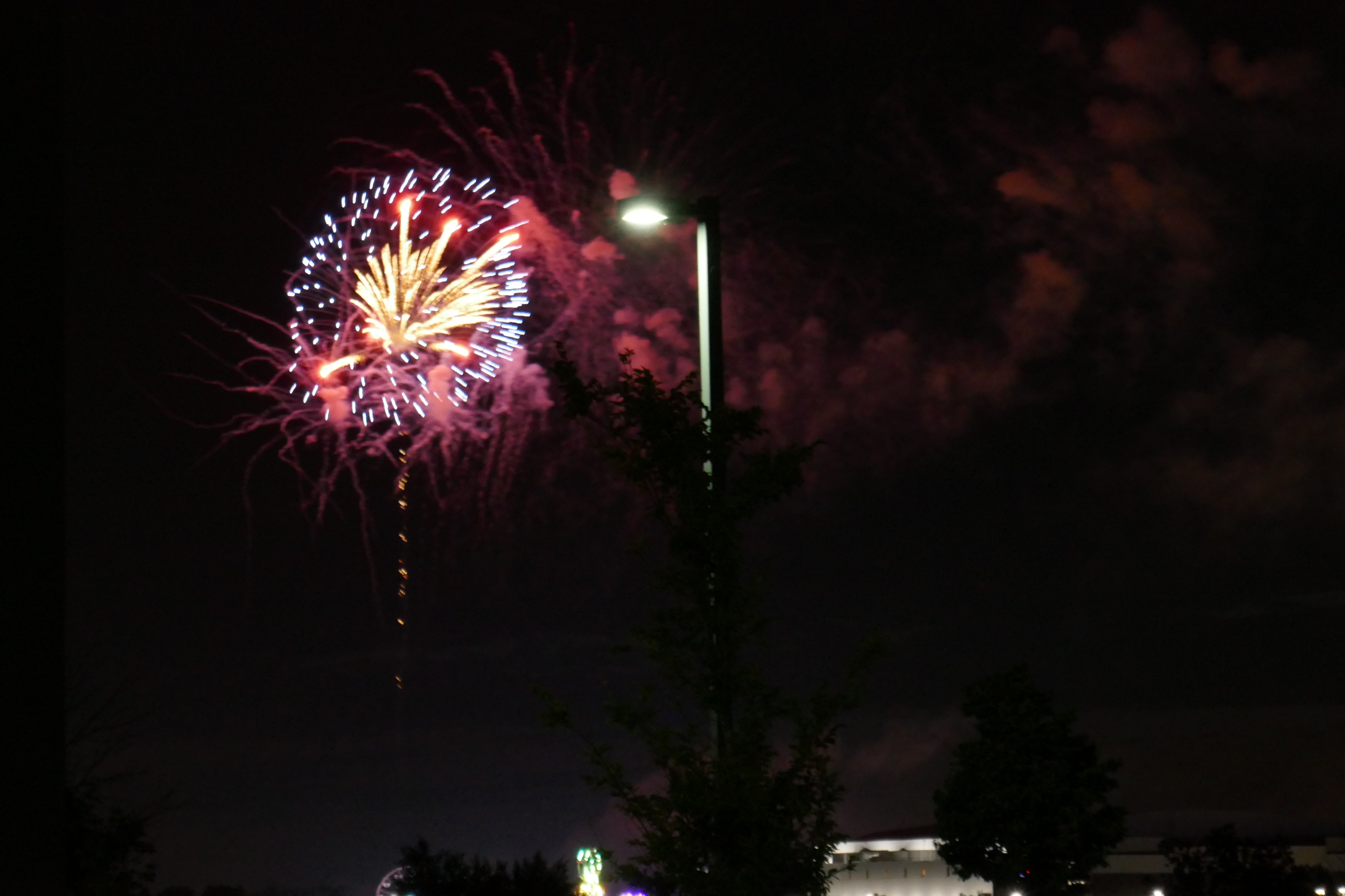 Fireworks light up the sky