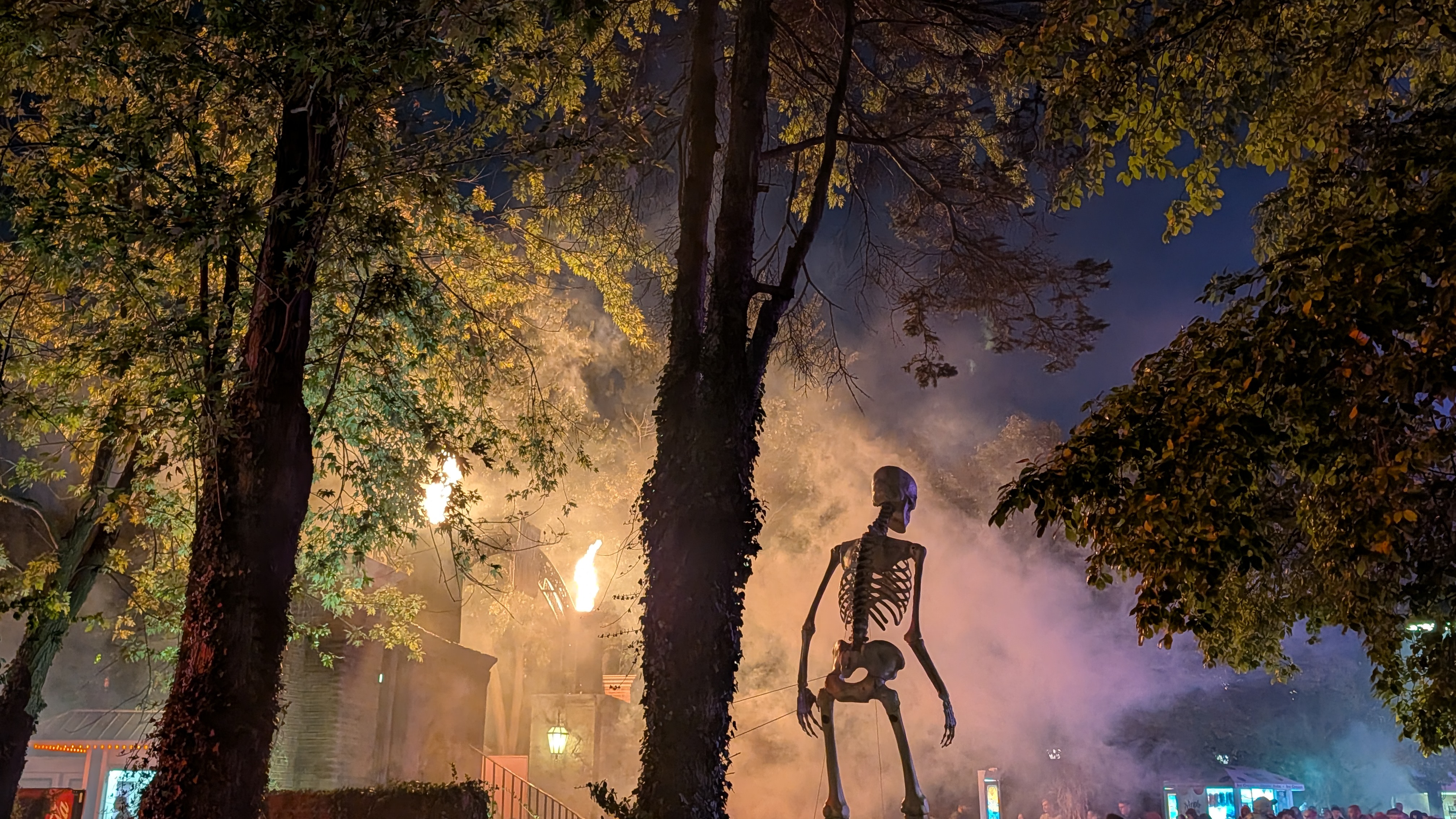 A Skeleton stands in the shadows cast by torch light